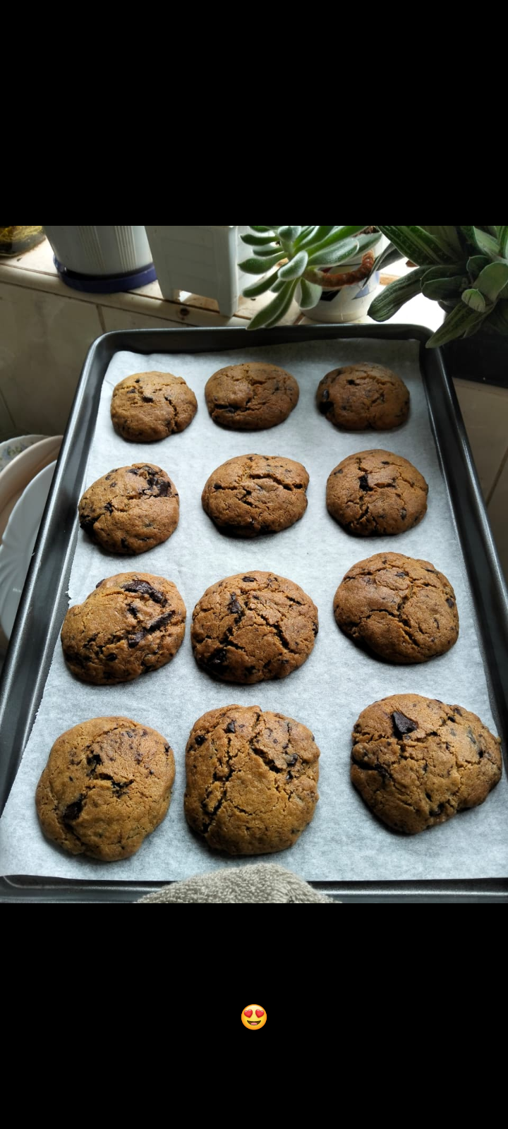 Krumbol Bakery work 3